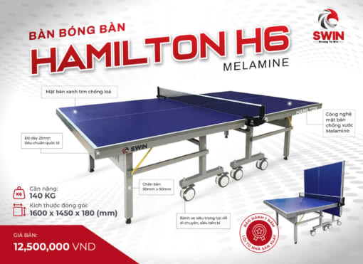 Bàn Bóng Bàn Swin Hamilton H6